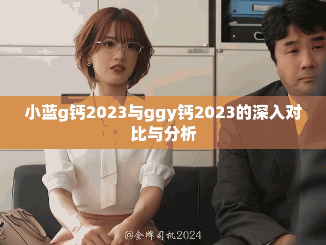 小藍g鈣2023與ggy鈣2023的深入對比與分析