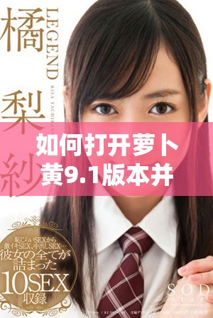 如何打開蘿卜黃9.1版本并有效使用其功能指南