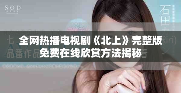 全網熱播電視劇《北上》完整版免費在線欣賞方法揭秘