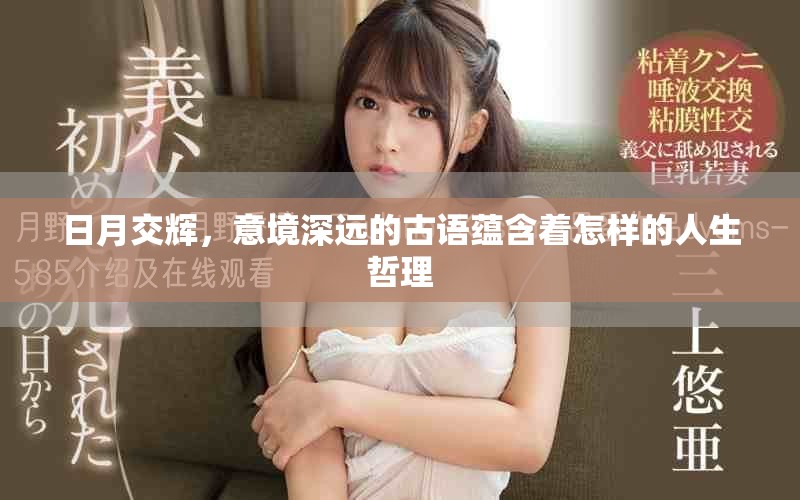 日月交輝，意境深遠的古語蘊含著怎樣的人生哲理