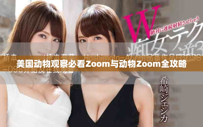 美國動物觀察必看Zoom與動物Zoom全攻略