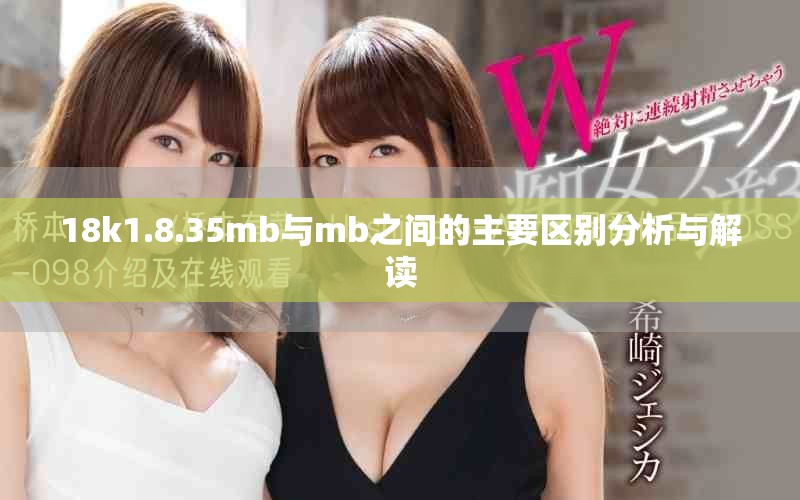 18k1.8.35mb與mb之間的主要區別分析與解讀