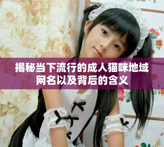 揭秘當下流行的成人貓咪地域網名以及背后的含義 揭秘當下流行的成人貓咪地域網名以及背后的含義