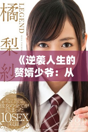 《逆襲人生的贅婿少爺：從平凡到榮耀的奮斗故事》