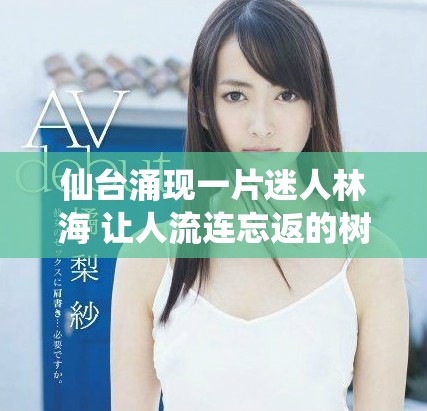 仙臺涌現一片迷人林海 讓人流連忘返的樹木景觀