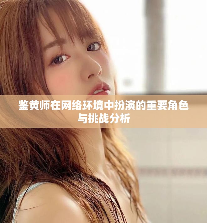 鑒黃師在網(wǎng)絡(luò)環(huán)境中扮演的重要角色與挑戰(zhàn)分析