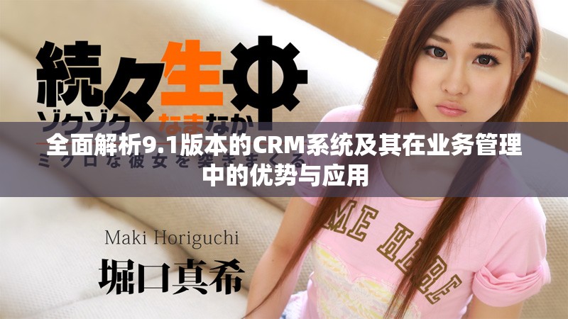 全面解析9.1版本的CRM系統(tǒng)及其在業(yè)務(wù)管理中的優(yōu)勢與應(yīng)用
