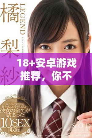 18+安卓游戲推薦，你不可錯(cuò)過(guò)的經(jīng)典之作與精彩體驗(yàn)