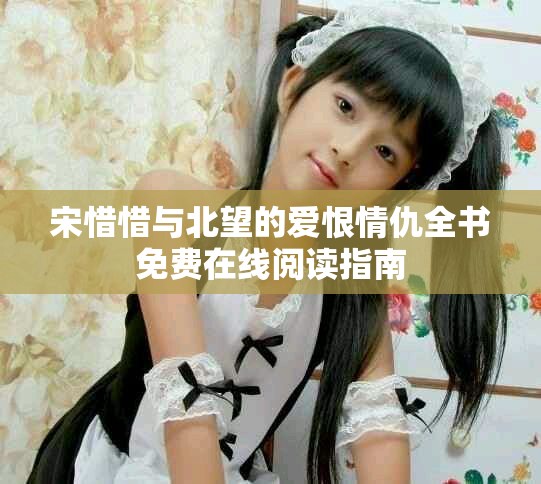 宋惜惜與北望的愛恨情仇全書免費在線閱讀指南