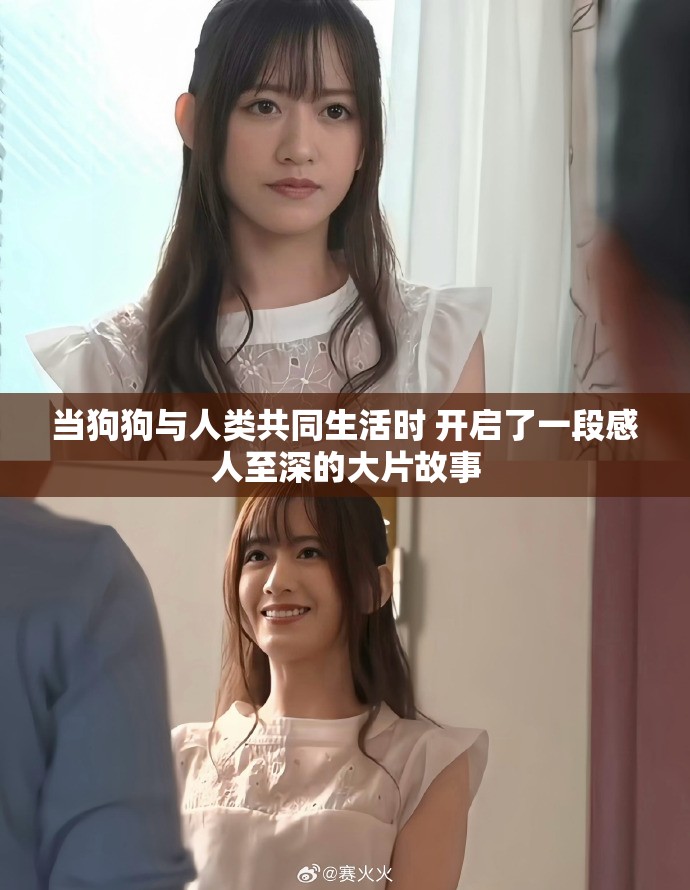 當(dāng)狗狗與人類共同生活時(shí) 開啟了一段感人至深的大片故事 當(dāng)狗狗與人類共同生活時(shí) 開啟了一段感人至深的大片故事
