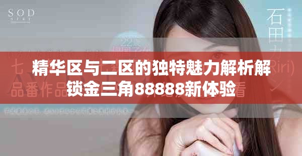 精華區與二區的獨特魅力解析解鎖金三角88888新體驗